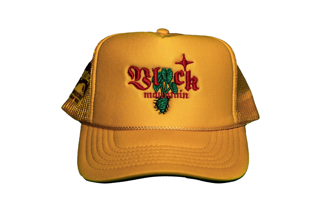 The Kalo Southern Sky Snapback Mesh Hat — Yellow