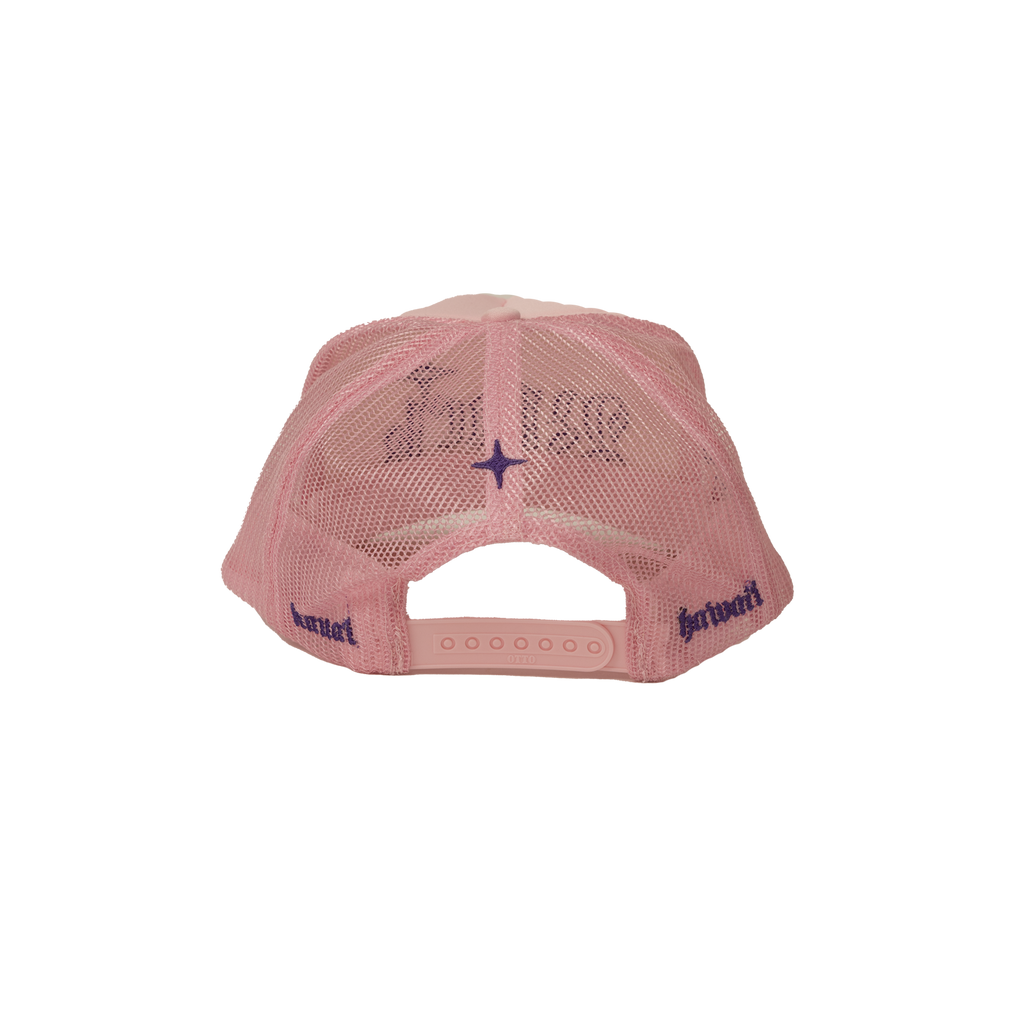 The Black Mountain Mesh Snapback Hat — Soft Pink