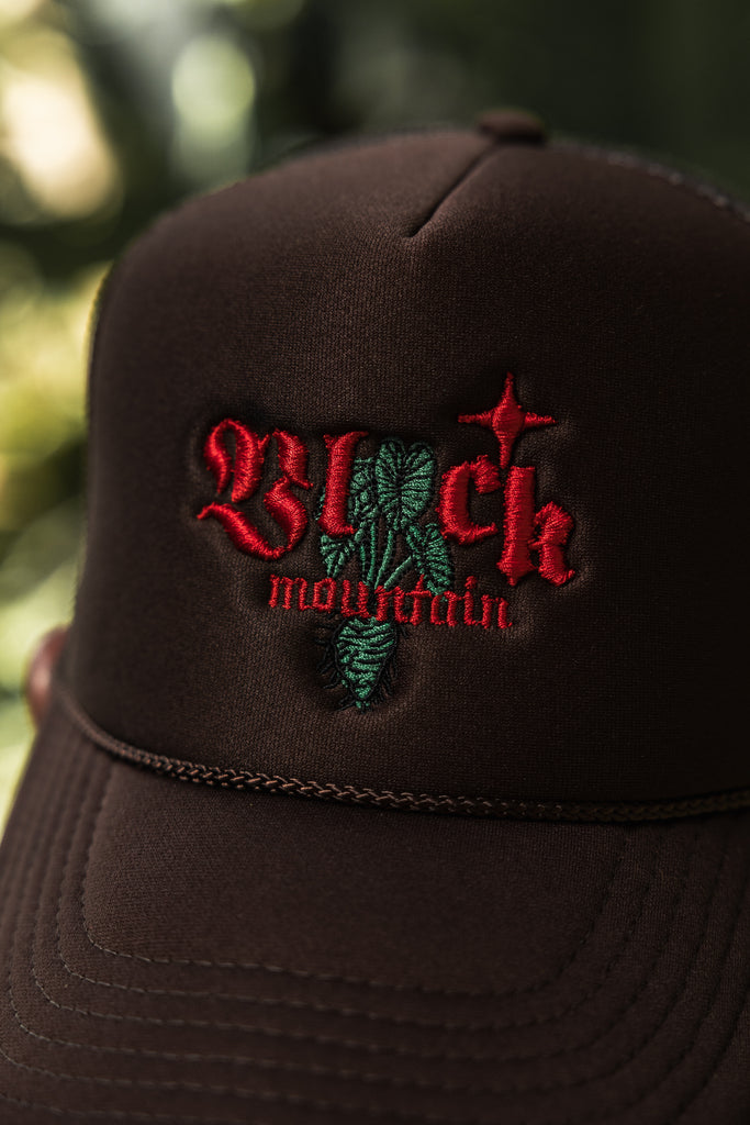 The Kalo Southern Sky Mesh Snapback Hat — Chocolate