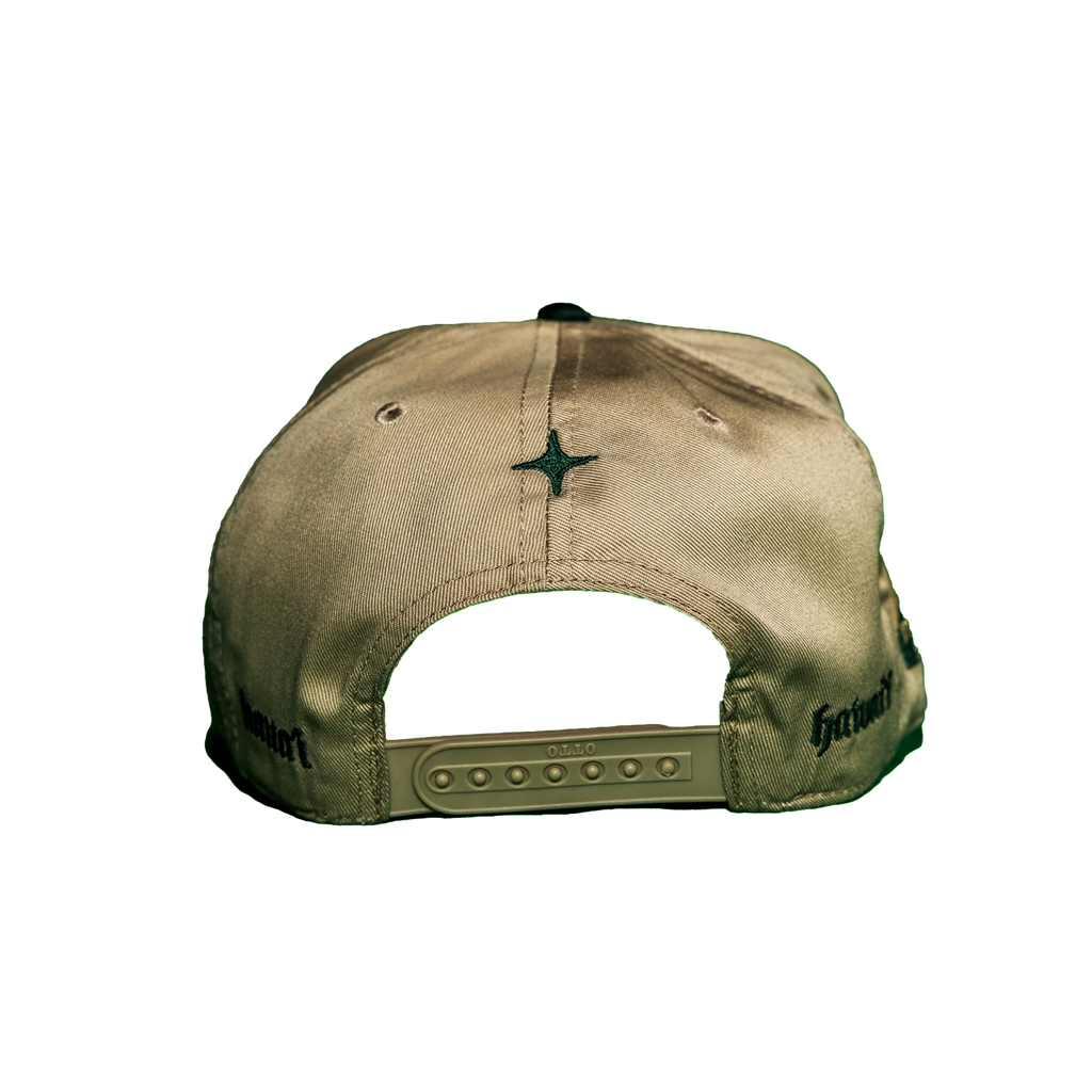 The Black Mountain Snapback Hat — Emerald Mountain